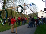 Maibaumaufstellen am 30.04.2008_10