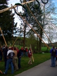 Maibaumaufstellen am 30.04.2008_15