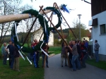 Maibaumaufstellen am 30.04.2008_9