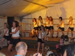 Mitterfeckinger Bürgerfest 2008 _18