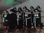 Mitterfeckinger Bürgerfest 2008 _25