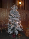 Weihnachtsfeier am 13. Dezember 2008_1